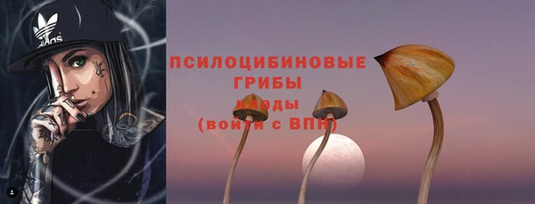 а пвп мука Белокуриха