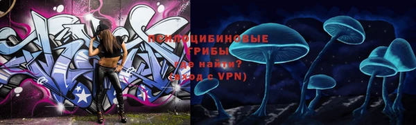 прущие крисы Богородск